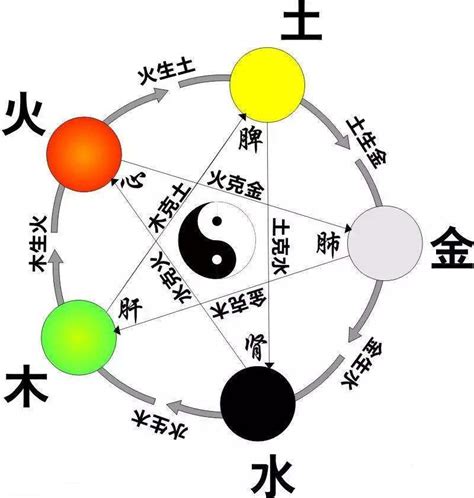 王五行|[汉字王的五行属性是什么